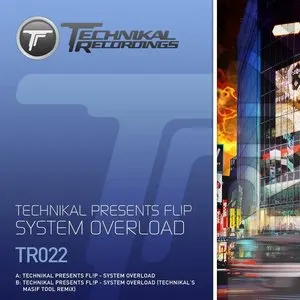 Pochette de System Overload de Technikal