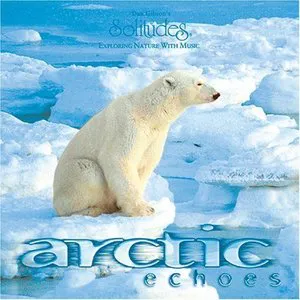 Pochette Arctic Echoes