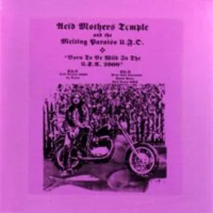 Pochette de Born to be Wild in the USA 2000 de Acid Mothers Temple & The Melting Paraiso U.F.O.