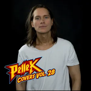 Pochette de Covers, Vol. 28 de PelleK