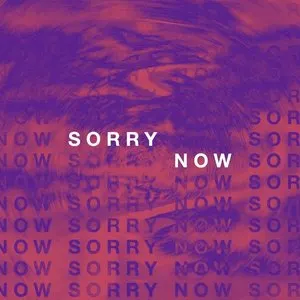 Pochette de Sorry Now de A R I Z O N A