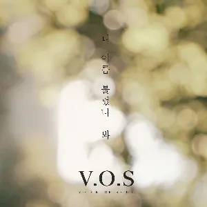 Pochette de Call Your Name de V.O.S