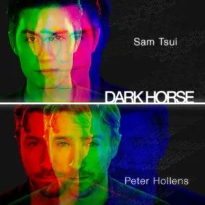 Pochette de Dark Horse de Peter Hollens