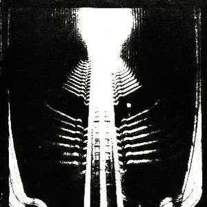 Pochette de Frikture de Brume