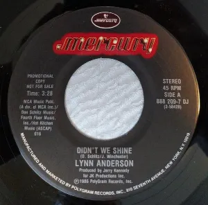 Pochette de Didn’t We Shine de Lynn Anderson