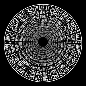 Pochette de The Best Light Is the Last Light de Snapped Ankles