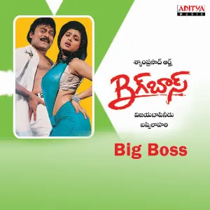 Pochette de Big Boss de Bappi Lahiri