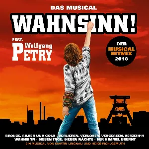 Pochette Der Wahnsinn Musical Hitmix 2018