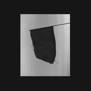 Pochette de The Prey and the Ruler de Senyawa - Lawrence English