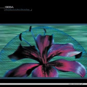 Pochette de Planetary Funk Alert / Camouflage de Seba