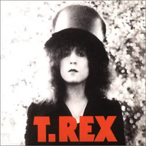 Pochette History of T. Rex: The Singles Collection 1968–1977, Volume 3