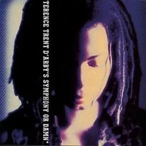 Pochette Terence Trent D’Arby’s Symphony or Damn