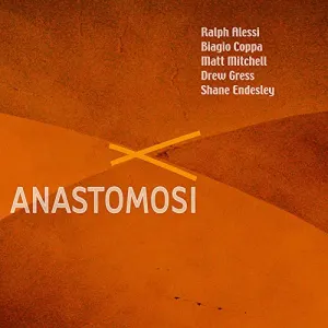 Pochette de Anastomosi de Drew Gress