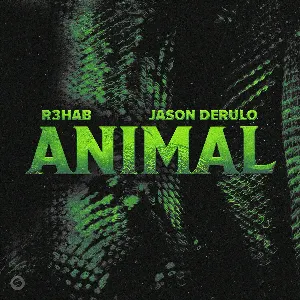 Pochette de Animal de Jason Derulo - R3HAB