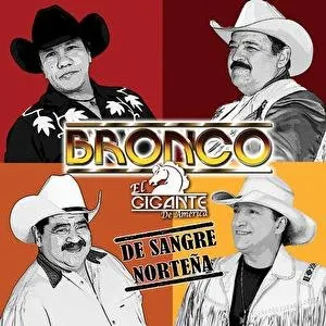 Pochette de De sangre norteña de Bronco