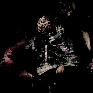 Pochette de Cardiosphere de Falsewander