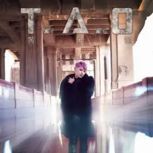 Pochette de T.A.O de Z.TAO