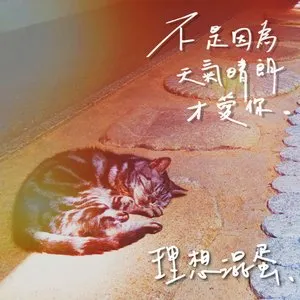 Pochette de 不是因為天氣晴朗才愛你 de Bestards