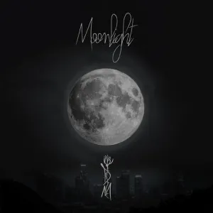 Pochette de Moonlight de Dylan Matthew
