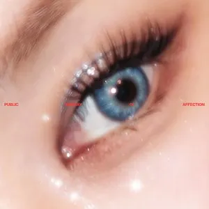 Pochette de PDA de SOYOU