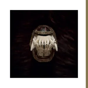 Pochette de Heden de Amenra