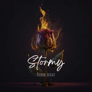 Pochette de Stormy de Robin bisht