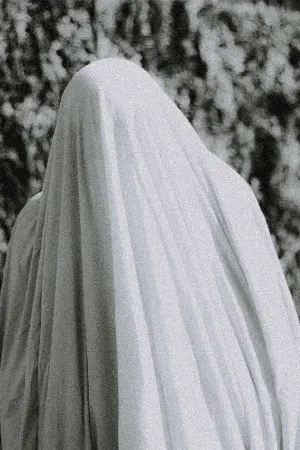 Pochette de The Translucent Veil of Constrained Silence de Wings of an Angel