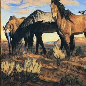 Pochette de Songs from the Gravel Road de Ian Tyson