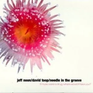 Pochette de Needle in the Groove de David Toop