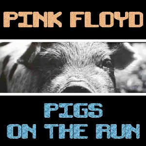 Pochette de Pigs on the Run de Pink Floyd