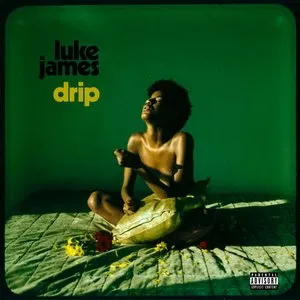 Pochette de Drip de A$AP Ferg