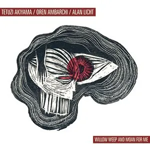 Pochette de Willow Weep and Moan for Me de Oren Ambarchi