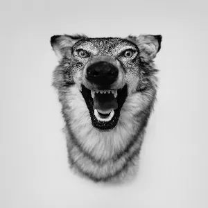 Pochette de Love Story de Yelawolf