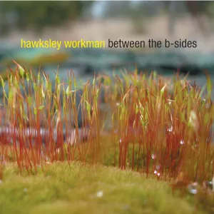 Pochette de Between The B-Sides de Hawksley Workman
