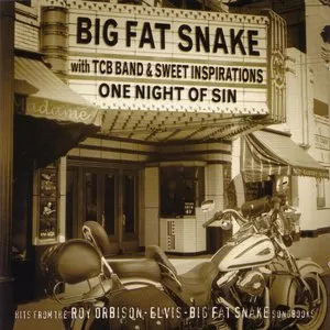 Pochette de One Night of Sin de Big Fat Snake