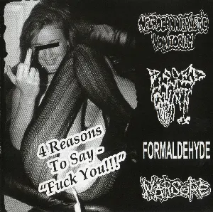 Pochette de 4 Reasons To Say - "Fuck You!!!" de Warsore