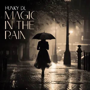 Pochette de Magic in the Rain de Funky DL