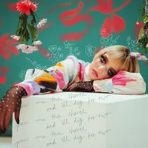 Pochette de Shovel de merci, mercy