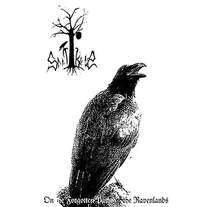 Pochette de On the Forgotten Paths of the Ravenlands de Sale Freux