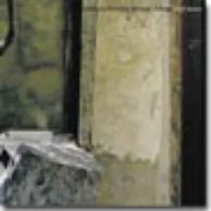 Pochette de Sunshine Filtering Through Foliage de Koji Asano