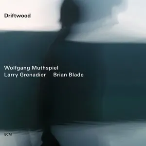 Pochette de Driftwood de Brian Blade - Wolfgang Muthspiel