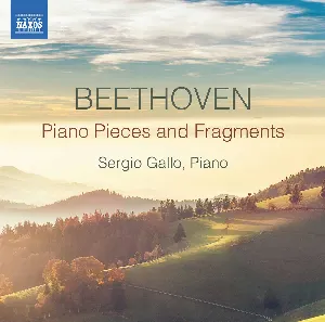 Pochette Piano Pieces and Fragments