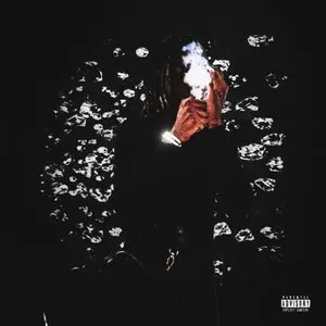 Pochette de Kan't Hold U de Destroy Lonely