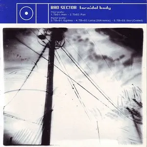 Pochette de Toroidal Body de Bad Sector