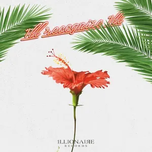 Pochette de 1ll Recognize 1ll de Dok2