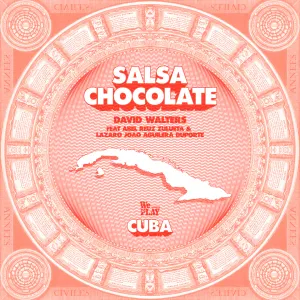 Pochette de Salsa Chocolate de David Walters