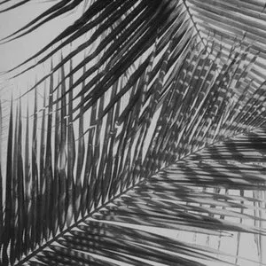 Pochette de Ekali Remixes 2014 de Ekali