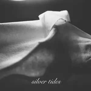 Pochette de Silver Tides de salute