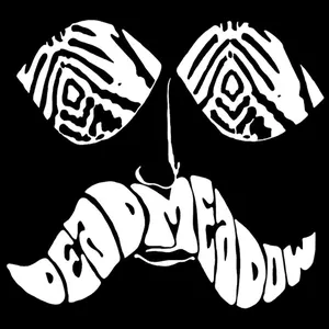 Pochette de 2001-01-01: [Dead Meadow's studio] de Dead Meadow