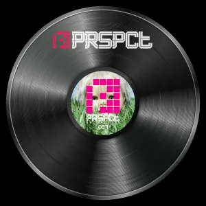 Pochette de We Are Haunted / The Signs de DJ Hidden